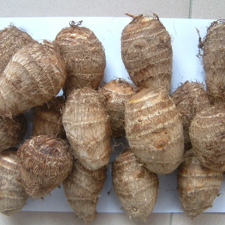 Դաշտային թարմ Taro