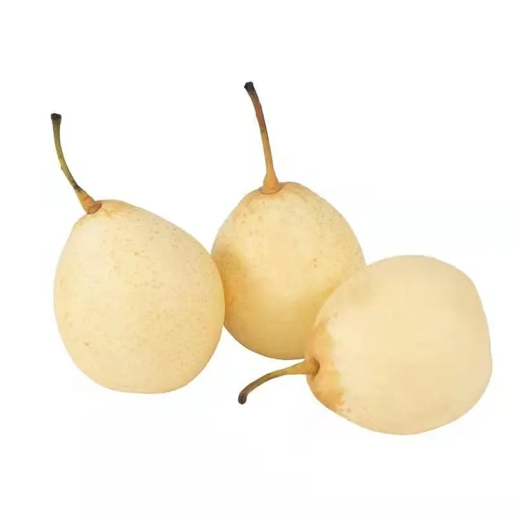 Թարմ բերքահավաք Ya Pear