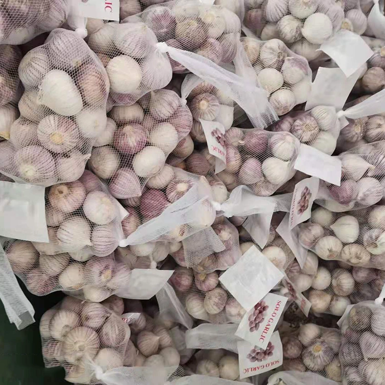 Բարձրորակ մեկ պճեղ սխտոր