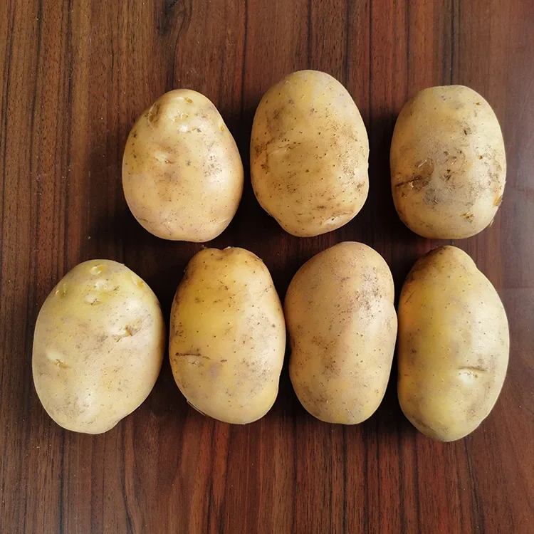 Firm Fresh Potatoes