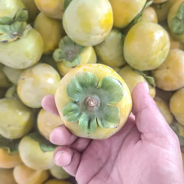 Պրեմիում թարմ խրթխրթան խուրմա