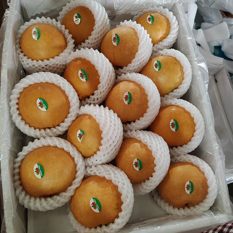 Պրեմիում Shingo Pears