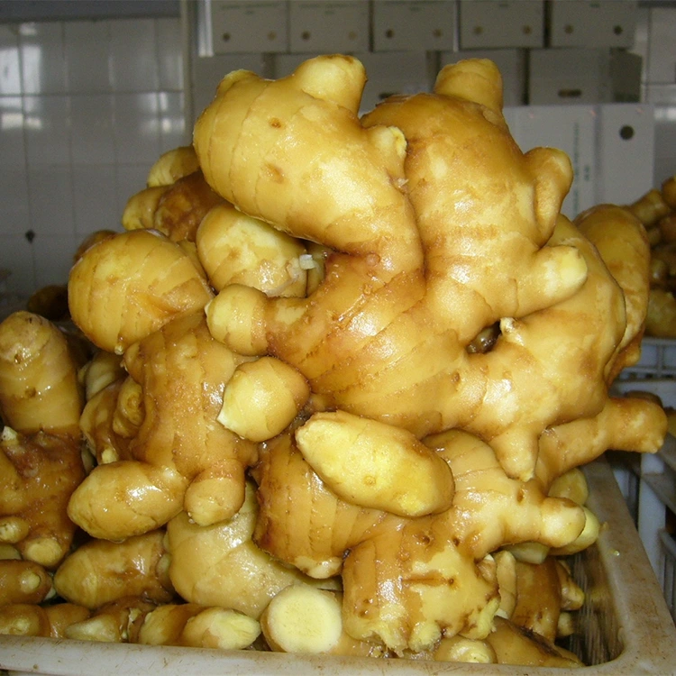Կծու թարմ անուշաբույր կոճապղպեղ