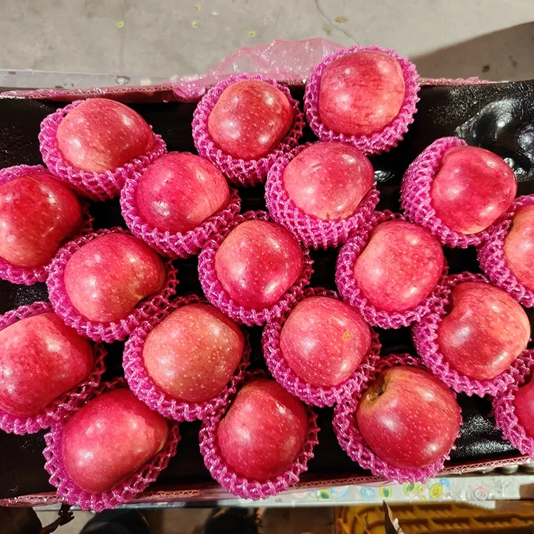 Բարձրակարգ թարմ Jiguan Apples